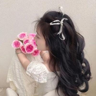 贼婆翻身记